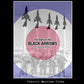 The Story Of The Black Arrows